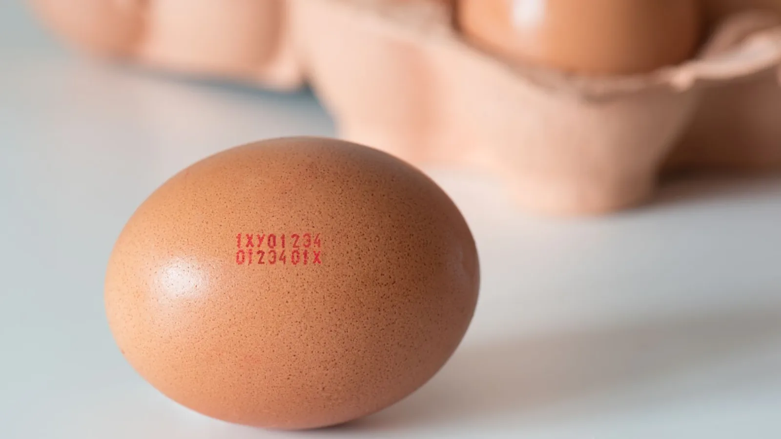 Los codigos de los huevos. Todo lo que debes saber