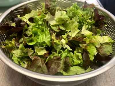 Ensalada Dietética con Pollo: ¡Tu Explosión de Sabor y Bienestar!