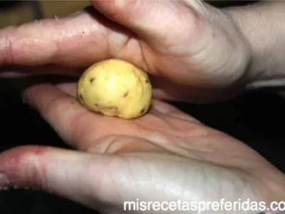 PESTIÑOS CASEROS