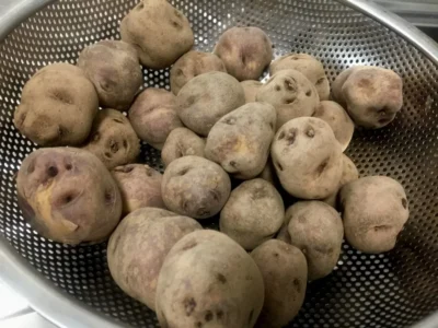 Papas Arrugas