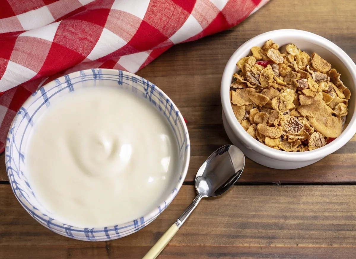 Yogurt natural casero sin yogurtera