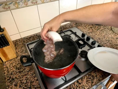 Pulpo gallego