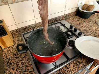 Pulpo gallego