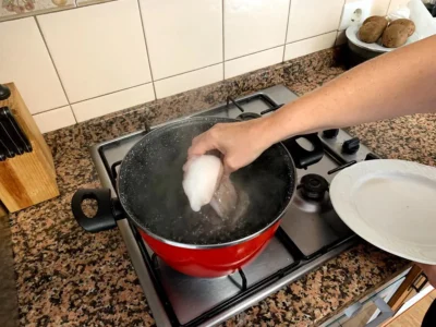 Pulpo gallego